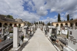 Cimitero Monumentale